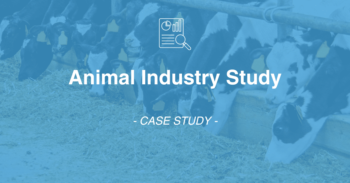 A cover image for an animal industry case study, featuring cows eating hay in a barn with text overlaying the image, highlighting insights from comprehensive market research.